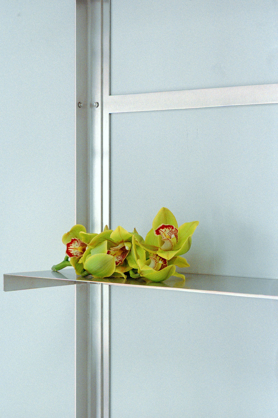 Standard wall shelf - Stainless Steel / Stainless Steel