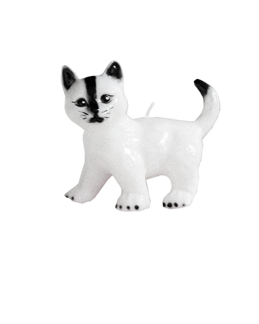 Candle - Cat White